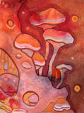 Festive Fungi 3/5